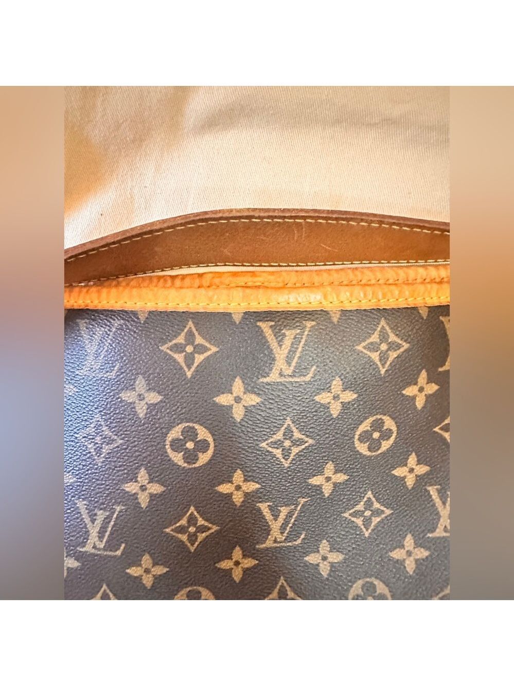 Louis Vuitton Delightful Monogram Shoulder Bag in Pivoine - Picture 8 of 17